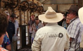 Tour of the Shearing Shed