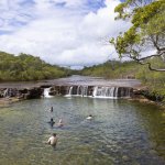 Fruitbat Falls
