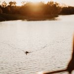 Smithy's Sunset Cruise