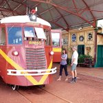 Gulf Savannah Tours
