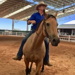 Riding horse and Stockmans Hall of Fame QLD