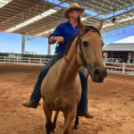 Riding horse and Stockmans Hall of Fame QLD