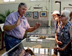 Winton Tours